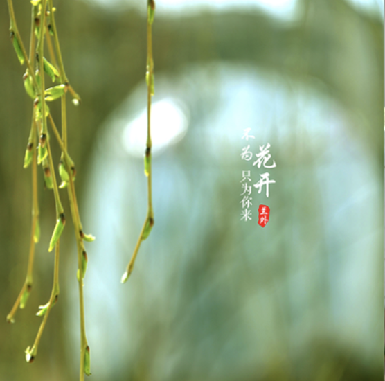 校园风光